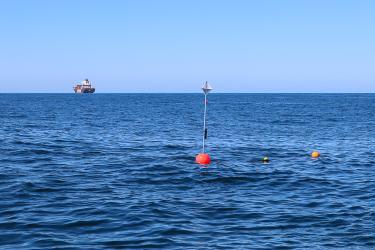 Photograph of a drifting acoustic spar buoy recorder (DASBR) deployed during the ACCESS 2021 cruise. Credit: Shannon Rankin.