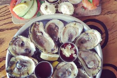 Shucked oysters on a plate