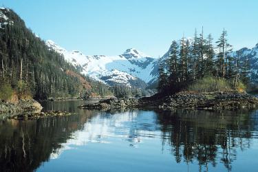 Snow covered mountains reflect off of placid water containing rocky islands, pine trees, and grassy tussocks