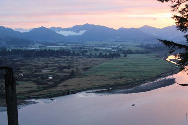 Landscape view of wetlands and a shoreline