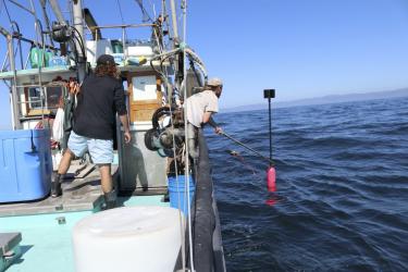  Photograph of Dick Ogg’s crew about a boat using a gaff to retrieve his custom built hi-flyer for the drifting recorders. Credit: NOAA/Shannon Rankin