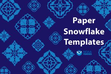  Collage of French angelfish, Atlantic wolffish, harbor seal, and thorny skate snowflakes, medium blue on a dark blue background. “Paper Snowflake Templates.” NOAA Fisheries logo.