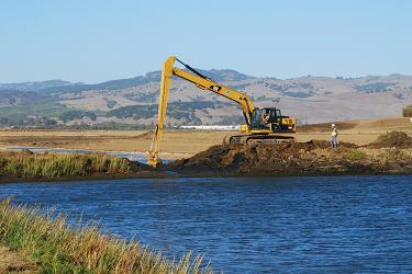 Construction equipment in a wetland