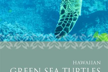 Hawaiian green sea turtle brochure