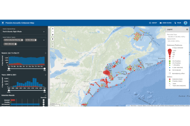 The Passive Acoustic Cetacean Map is an interactive data portal that the user can control to visualize the presence of certain marine animals. This example shows the acoustic presence of the North Atlantic Right Whale for the years 2004 until 2021, in all seasons.  Variables like the season or year can be altered to better understand the patterns of specific species.