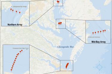 Map of three arrays of acoustic telemetry receivers in the Chesapeake Bay