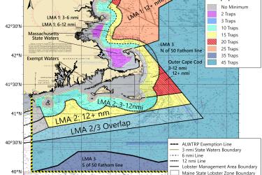 Minimum traps per trawl in LMA2 and LMA3