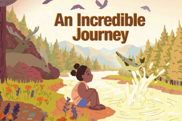 an incredible journey  book cover