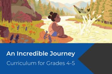 An Incredible Journey cover art
