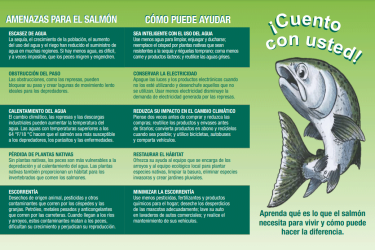 Cuento con Usted cover image