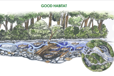 Good Habitat cover image