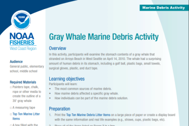 Gray Whale Marine Debris Activity cover page