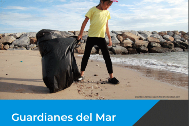 Guardianes del Mar cover image