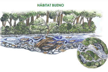 Habitat Bueno cover image