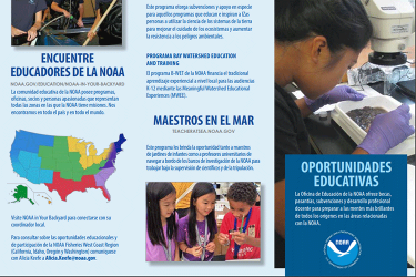 Oportunidades de pasantias y becas cover image