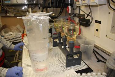 scientist measuring environmental DNA from water samples on board the Bell M. Shimada during hake survey 2019 nwfsc