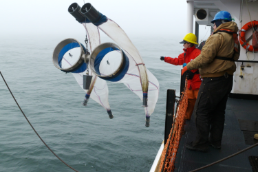 Deploying the bongo nets over the starboard of the ship.