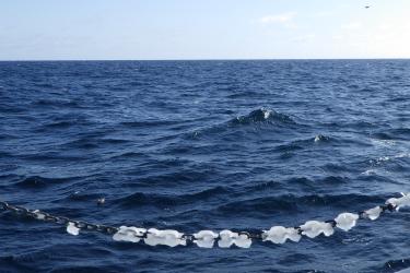 A chain covered in ice on the back of a boat with sea birds visible in the water. Credit: Rory Morgan, Alaska Observers, Inc