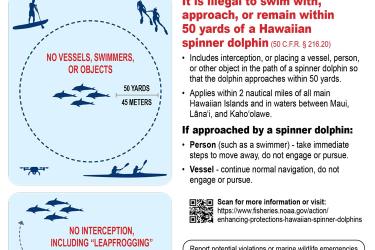 Hawaiian spinner dolphin 50 yard regulatory decal