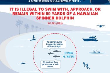 Hawaiian spinner dolphin 50 yard beach signage