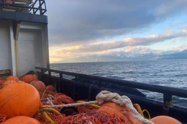 View from ship with orange netgear on deck and sunlit islands in the distance 