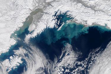 Satellite image showing winds and waves churning fine sediments and phytoplankton over the shallow nearshore waters and continental shelf of northern Gulf of Alaska