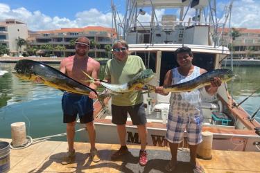 Friends holding dolphinfish at the dock.