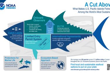 Infographic featuring the outline of a tuna on a cutting board divided into sections with examples and statistics of work to support sustainable fisheries in the Pacific.