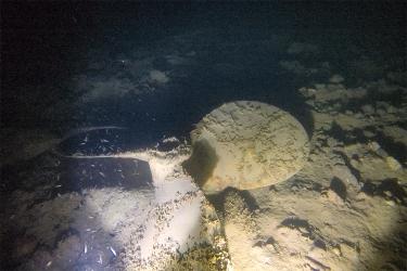 A boat propeller lies on the ocean floor. It has a light dusting of sediment and a few encrusting organisms have attached to its surface. 