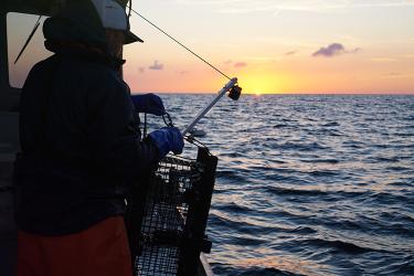 In the foreground, in slight silhouette, a scientist wearing rubber gloves and foul weather gear holds a cage-like piece of equipment at the rail of a boat. Behind him, the sun sets on the horizon of a slightly choppy sea.