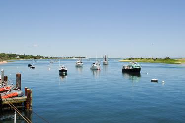 Moored fishing vessels in a calm harbor.