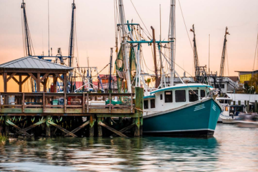 Boats in harbor at sunset