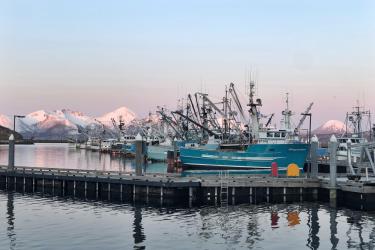 Harbor with trawl vessels and snowcapped mountains