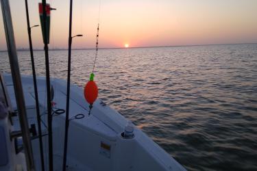 Fishing at sunset.