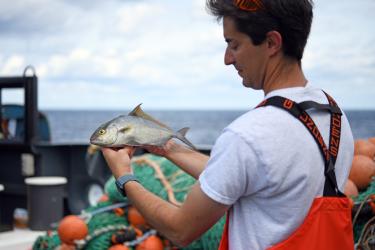A man on the deck of a ship wearing orange overalls holds a silver fish and examines it.