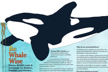 Be Whale Wise brochure screenshot