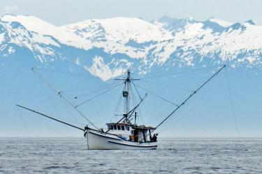 Alaska salmon troller Bay of Pillars in Chatham Strait.