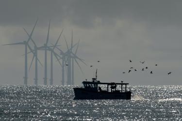 Overcast day with mostly gray and silver tones. In the background at left, a line of 8 offshore windmills tower over the horizon. In the foreground, a small boat open-decked boat with a flat roof is silhouetted against a shining sea
