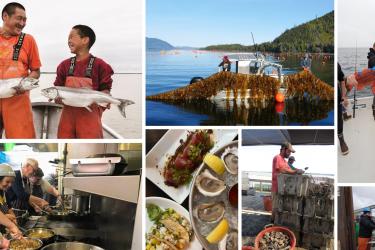 A grid of seven photos depicting various seafood communities.