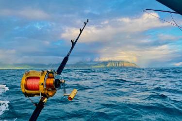 Close up of a fishing rod with a Pacific Island in the background across the water; a rainbow is visible to the right.