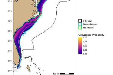 Predicted fishery interaction for dusky sharks with the bottom longline fishery during December.