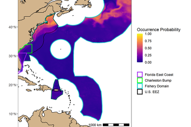 Shortfin mako shark predicted fishery interaction with the pelagic longline fishery during August.