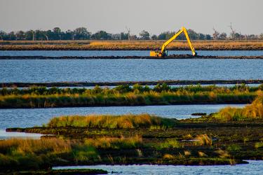 Construction equipment on a narrow strip of land in a wetland