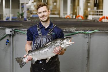 A man holds a large farmed salmon in front of a tank.