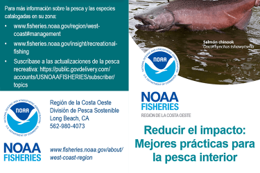 Reducir el impacto: Mejores prácticas para la pesca interior
