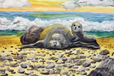 A watercolor and colored pencil drawing of resting mother and pup Hawaiian monk seal