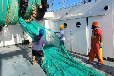 Two people wearing hard hats feed a green trawl net into a net reel on the deck of a white ship. A third person in a hard hat looks on.