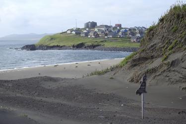 Laaqudan sleeping near the Aleut Community of St. Paul.