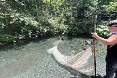 Two people hold either end of a net in a clear rocky stream