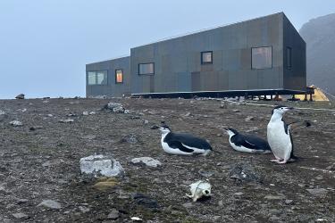 Two new buildings sit in a dirt field at Cape Shirreff. Both have slanted roofs, sit on raised decking, and are covered in stainless steel cladding. The building in the foreground has three windows on the front and one on the visible side, while the building behind it has two windows. The dirt field has many small rocks and a few larger rocks, and there is an old animal skull in the foreground. Behind the buildings on the right side is a rocky outcrop and some camping tents visible under the raised building